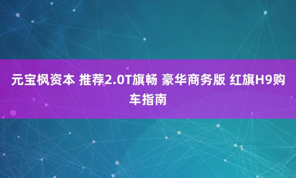 元宝枫资本 推荐2.0T旗畅 豪华商务版 红旗H9购车指南