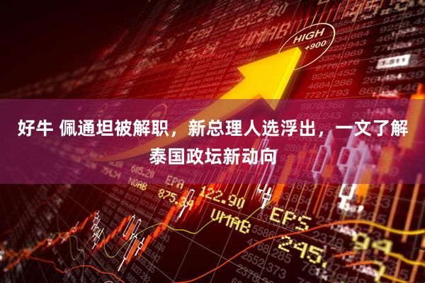 好牛 佩通坦被解职，新总理人选浮出，一文了解泰国政坛新动向