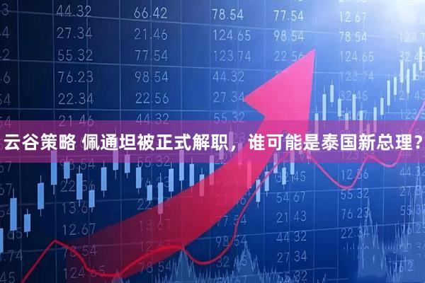 云谷策略 佩通坦被正式解职，谁可能是泰国新总理？