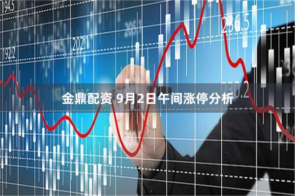 金鼎配资 9月2日午间涨停分析
